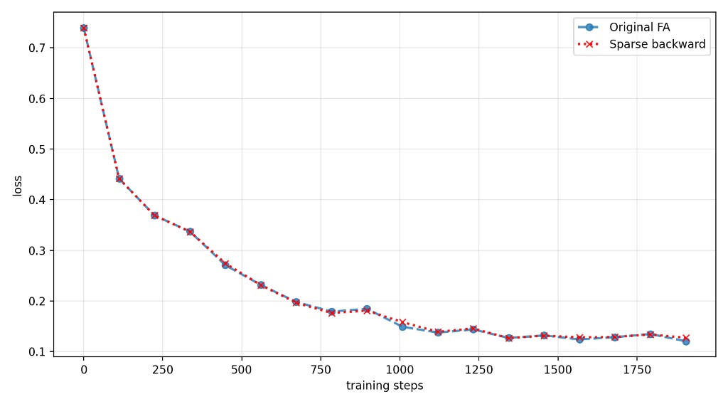 BackLite deterministic training loss comparison